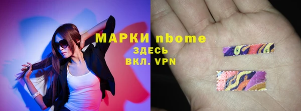 стаф Арсеньев