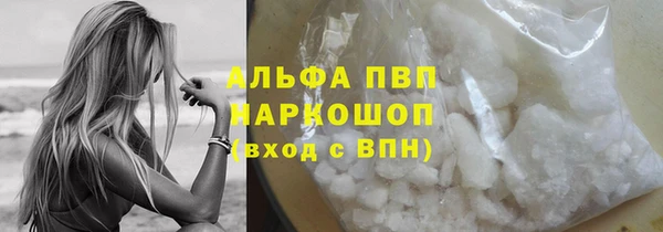 сатива Аркадак