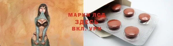 стаф Арсеньев