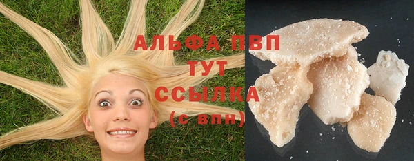 стаф Арсеньев