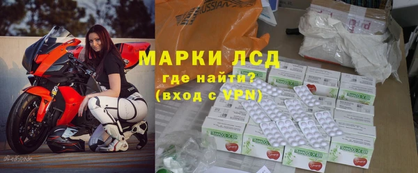стаф Арсеньев