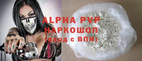 сатива Аркадак