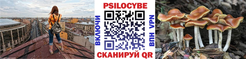 Купить  Разумное  Псилоцибиновые грибы Magic Shrooms 